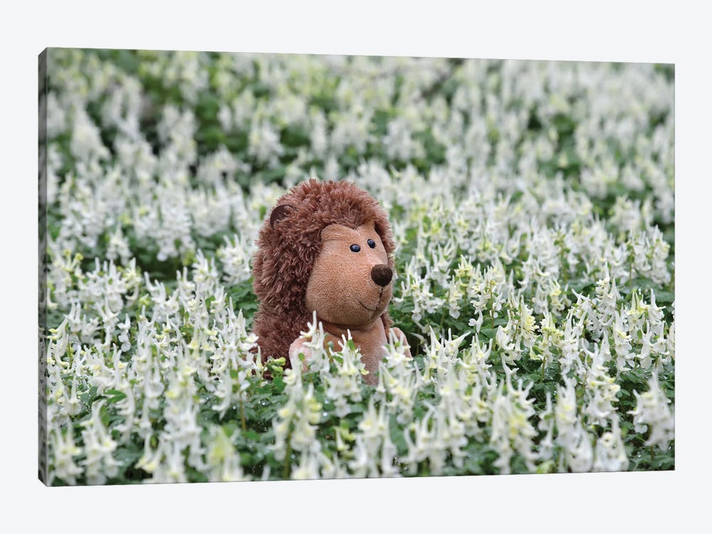 Hedgehog In A Blooming Meadow I by Mike Kiev 1-piece Art Print