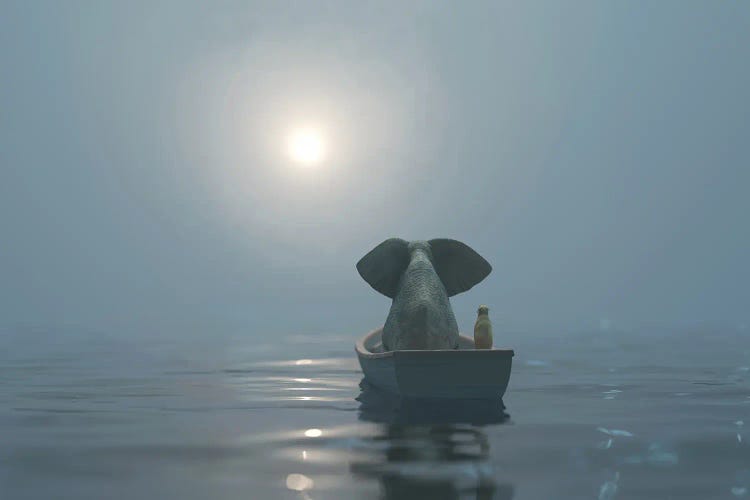 Elephant And Dog Is Sailing On A Boat In The Fog