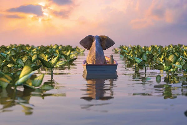 Mike Kiev: Elephant And Dog Float In A Boat On The River by Mike Kiev