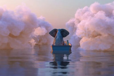 Elephant And Dog In A Boat Float Through The Clouds by Mike Kiev multi panel art