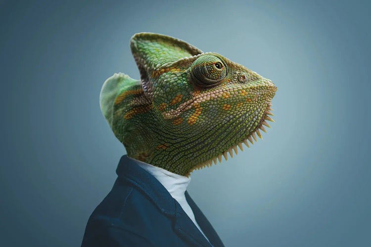 Chameleon Man