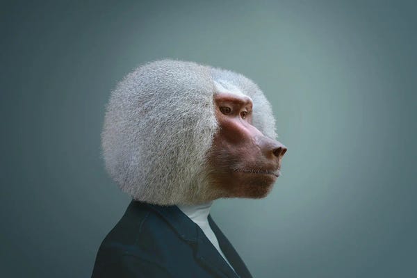 Monkeys: Monkey Man by Mike Kiev