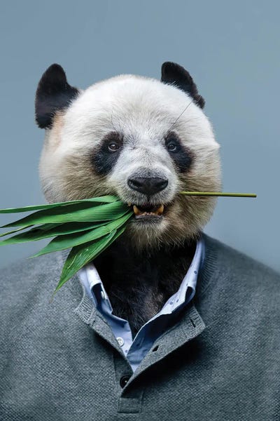 Mike Kiev: Panda Man by Mike Kiev