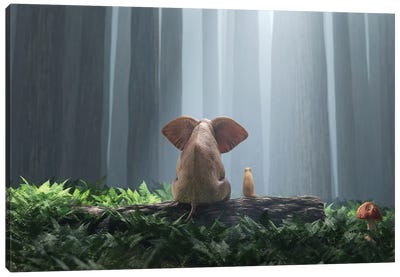 Elephant And Dog Sit In The Deep Forest I Canvas Art Print - Elephant Art