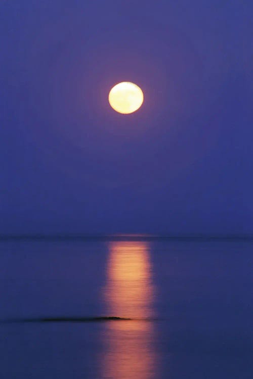 Full Moon Over The Sea by Mike Kiev wall art