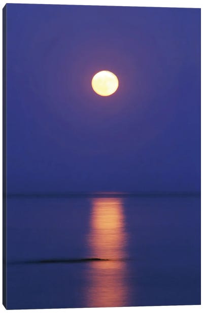 Full Moon Over The Sea Canvas Art Print - Sunset Shades
