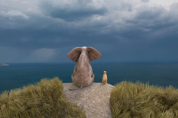 Elephants: Elephant And Dog Look At The Stormy Sky II by Mike Kiev