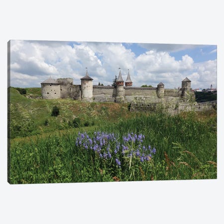 Medieval Castle On A Green Field Canvas Print #MII284} by Mike Kiev Art Print