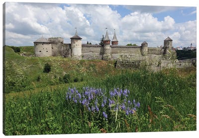 Medieval Castle On A Green Field Canvas Art Print - Mike Kiev