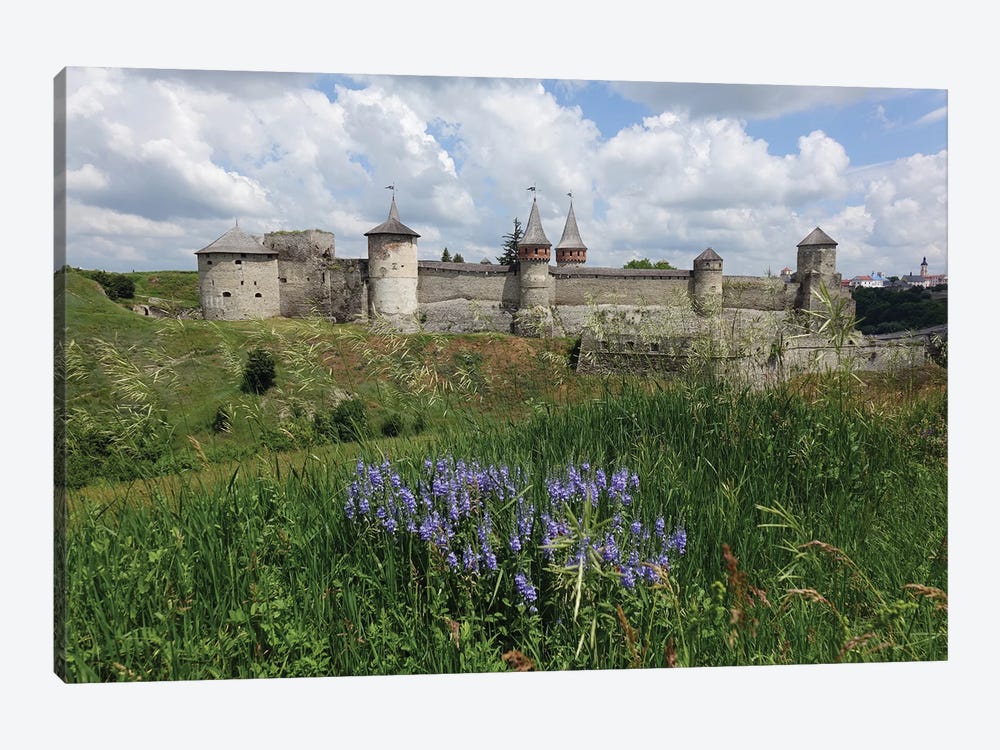 Medieval Castle On A Green Field by Mike Kiev 1-piece Art Print
