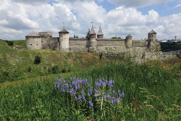 Mike Kiev: Medieval Castle On A Green Field by Mike Kiev