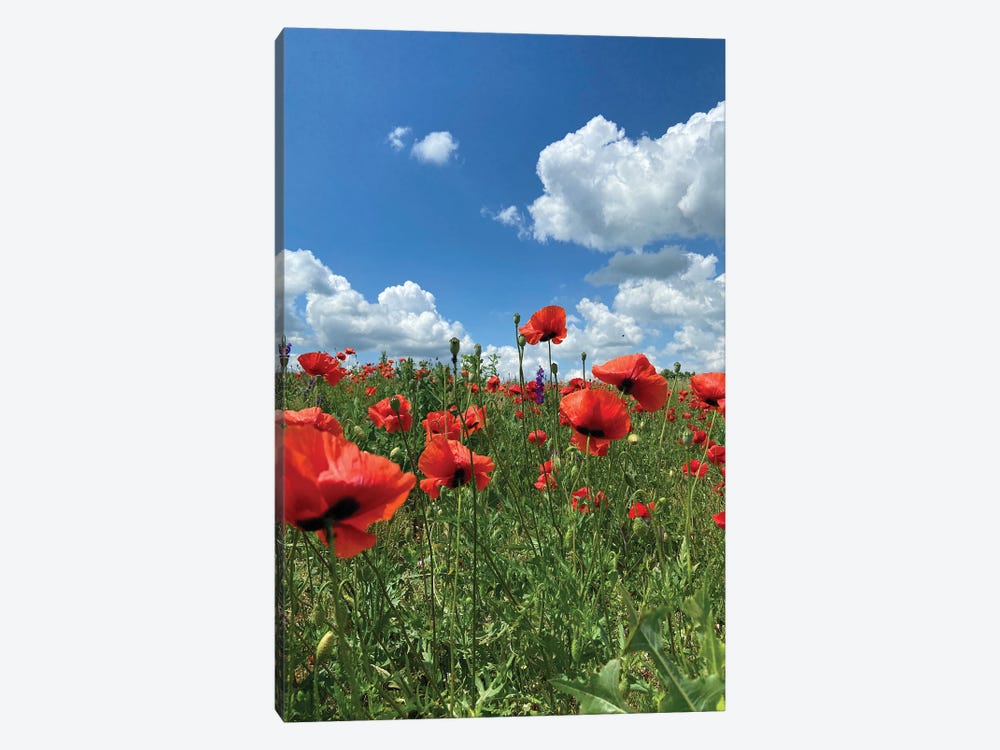 wild Red Poppies On The Field III by Mike Kiev 1-piece Canvas Wall Art