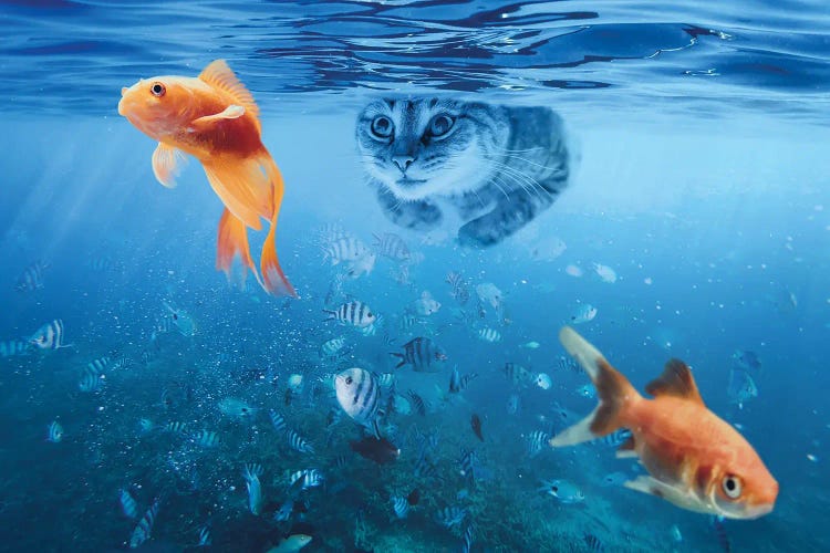 Cat Fishing Underwater