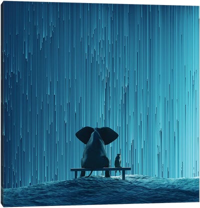 Elephant And Dog Looking At Star Rain Canvas Art Print - Weather Art