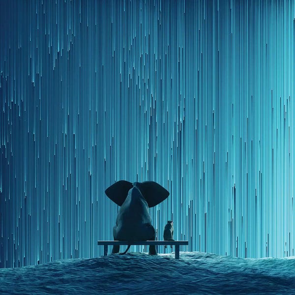 Rain: Elephant And Dog Looking At Star Rain by Mike Kiev