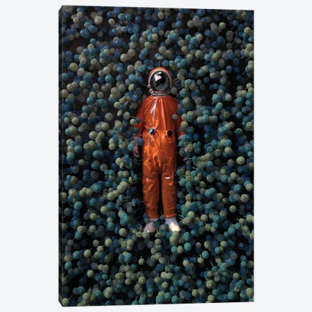 Astronaut Lying In Mushrooms Canvas Print #MII294} by Mike Kiev Canvas Artwork