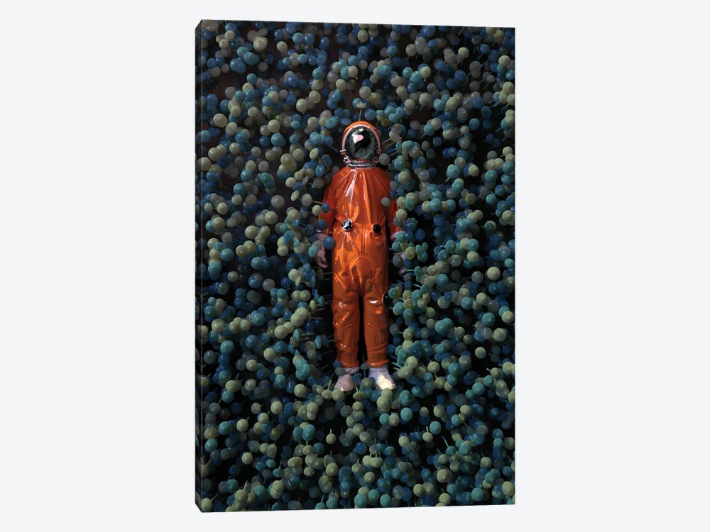 Astronaut Lying In Mushrooms by Mike Kiev 1-piece Canvas Artwork