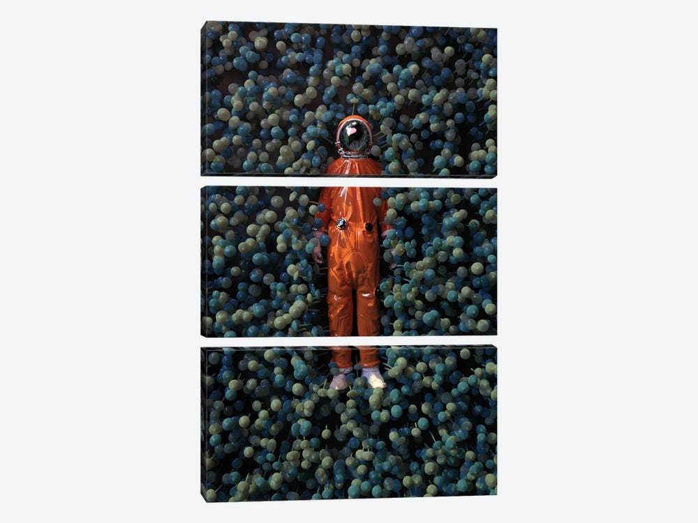 Astronaut Lying In Mushrooms by Mike Kiev 3-piece Canvas Art