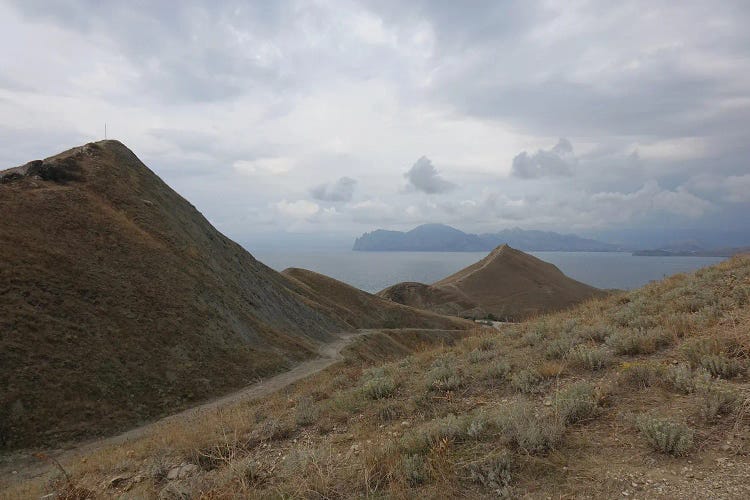 Hilly Landscape By The Sea