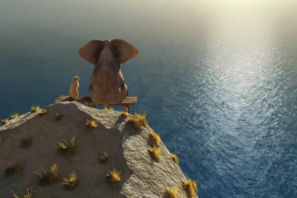 Elephants: Elephant And Dog Rest On A Crag Near The Sea by Mike Kiev