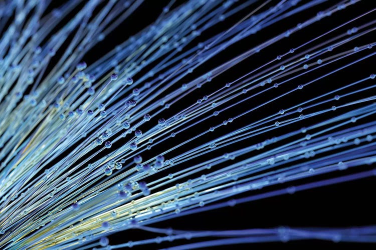 Abstract Fibre Structure II by Mike Kiev wall art