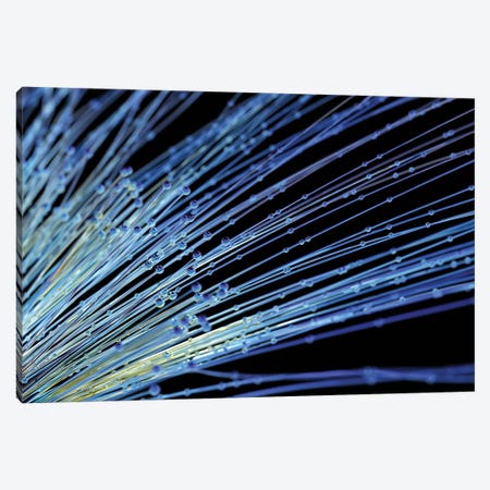 Abstract Fibre Structure II Canvas Print #MII2} by Mike Kiev Canvas Artwork