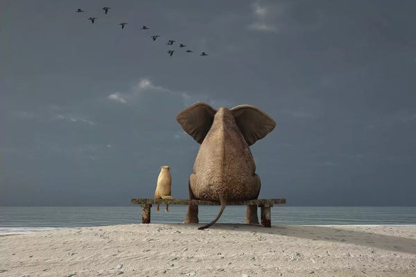 Elephants: Elephant And Dog Sit On A Beach by Mike Kiev