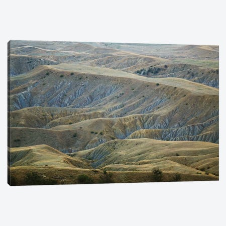 Desert Landscape Canvas Print #MII314} by Mike Kiev Art Print