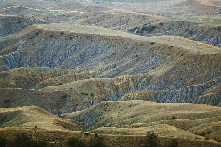 Desert Landscape