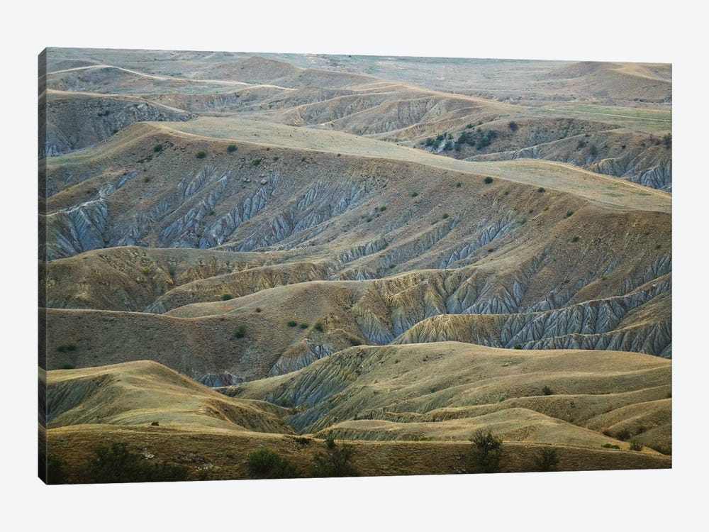 Desert Landscape by Mike Kiev 1-piece Canvas Art Print