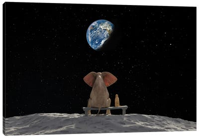 Elephant And Dog Sit On The Moon Canvas Art Print - Animal & Pet Photography