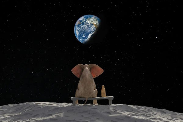 Large | 37"-48": Elephant And Dog Sit On The Moon by Mike Kiev