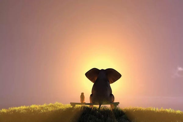 Mike Kiev: Elephant And Dog Sit On A Bench And Watch A Foggy Sunrise by Mike Kiev
