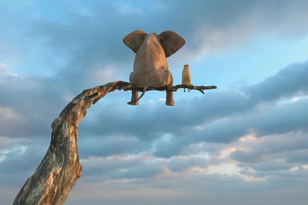 Elephants: Elephant And Dog Sit On A Tree Branch by Mike Kiev