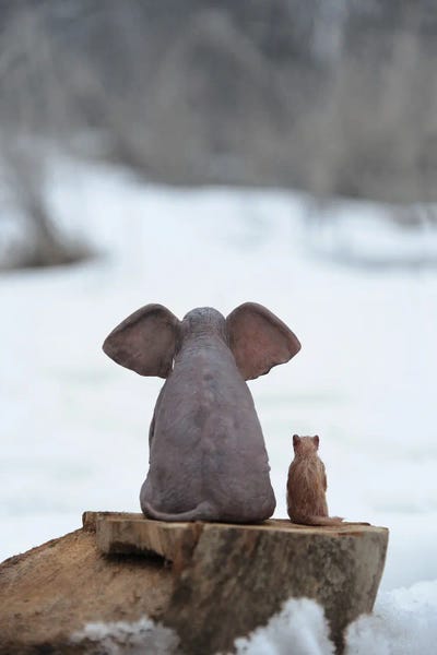 Mike Kiev: Elephant And Dog Sitting On A Stump In Winter by Mike Kiev