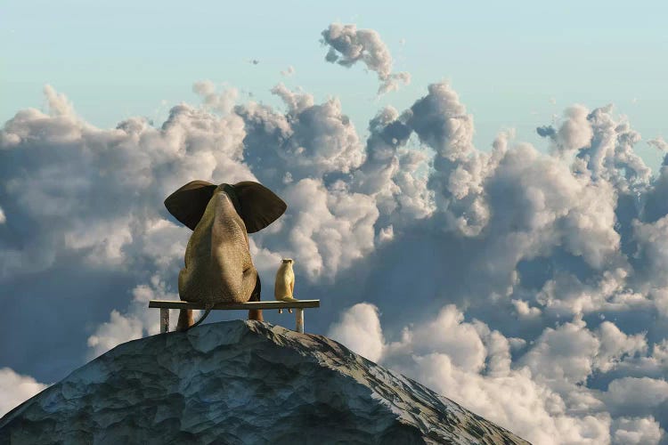 Elephant And Dog Sit On A Mountain Top