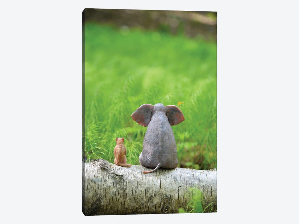 Elephant And Dog Sit On A Green Meadow by Mike Kiev 1-piece Canvas Print