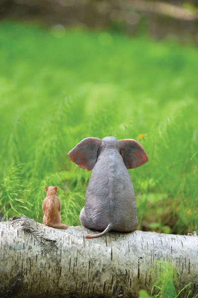 Mike Kiev: Elephant And Dog Sit On A Green Meadow by Mike Kiev