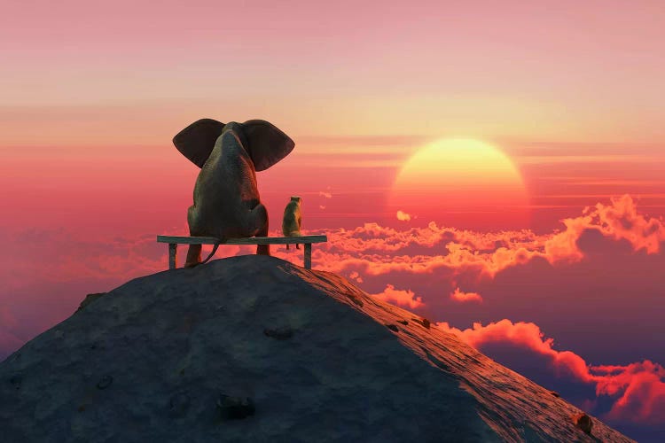 Elephant And Dog Sit On A Mountain Top At Sunset