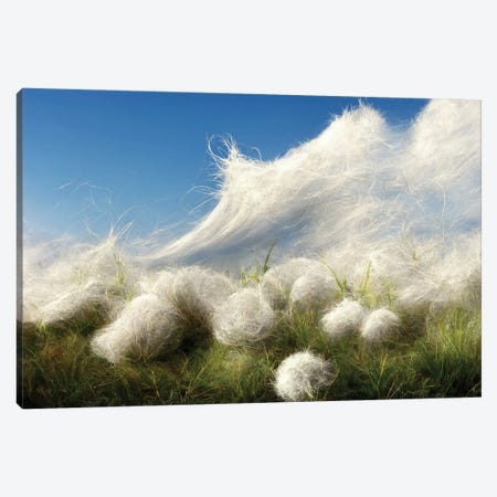 Cotton Balls On A Windy Field I Canvas Print #MII340} by Mike Kiev Canvas Print