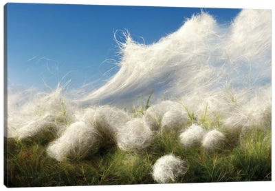Cotton Balls On A Windy Field I Canvas Art Print - Mike Kiev