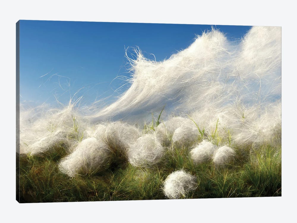 Cotton Balls On A Windy Field I by Mike Kiev 1-piece Canvas Wall Art