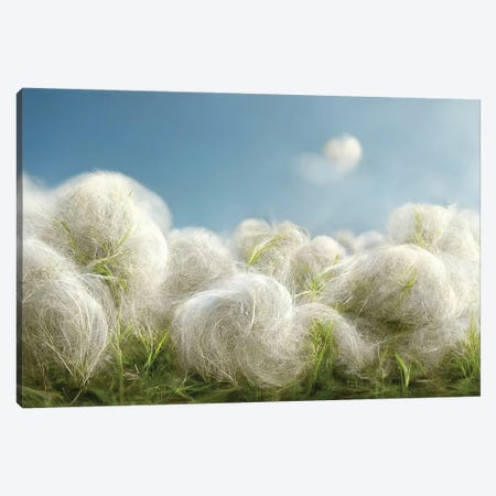 Cotton Balls On A Windy Field II Canvas Print #MII341} by Mike Kiev Canvas Art Print