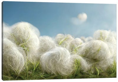 Cotton Balls On A Windy Field II Canvas Art Print - Mike Kiev