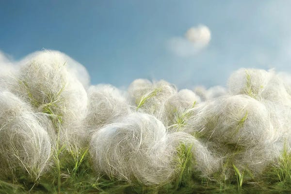 Cotton: Cotton Balls On A Windy Field II by Mike Kiev