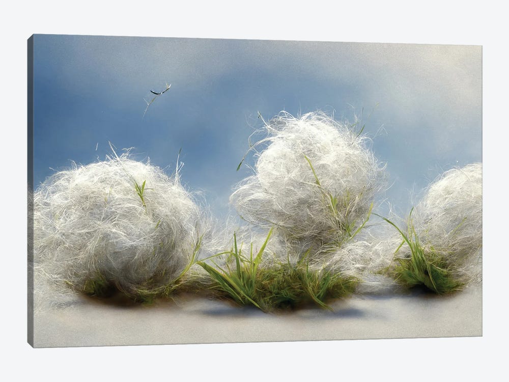 Cotton Balls On A Windy Field III by Mike Kiev 1-piece Canvas Artwork