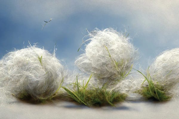 Cotton: Cotton Balls On A Windy Field III by Mike Kiev