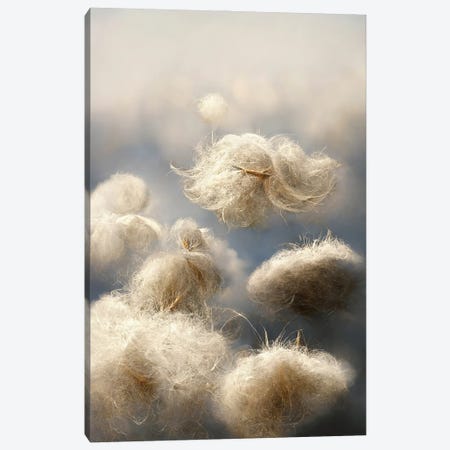 Cotton Balls On A Windy Field IV Canvas Print #MII343} by Mike Kiev Canvas Print