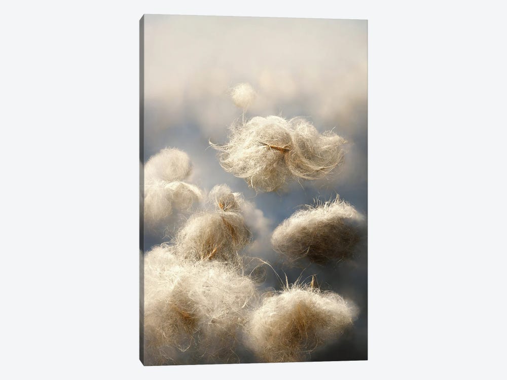 Cotton Balls On A Windy Field IV by Mike Kiev 1-piece Canvas Art Print