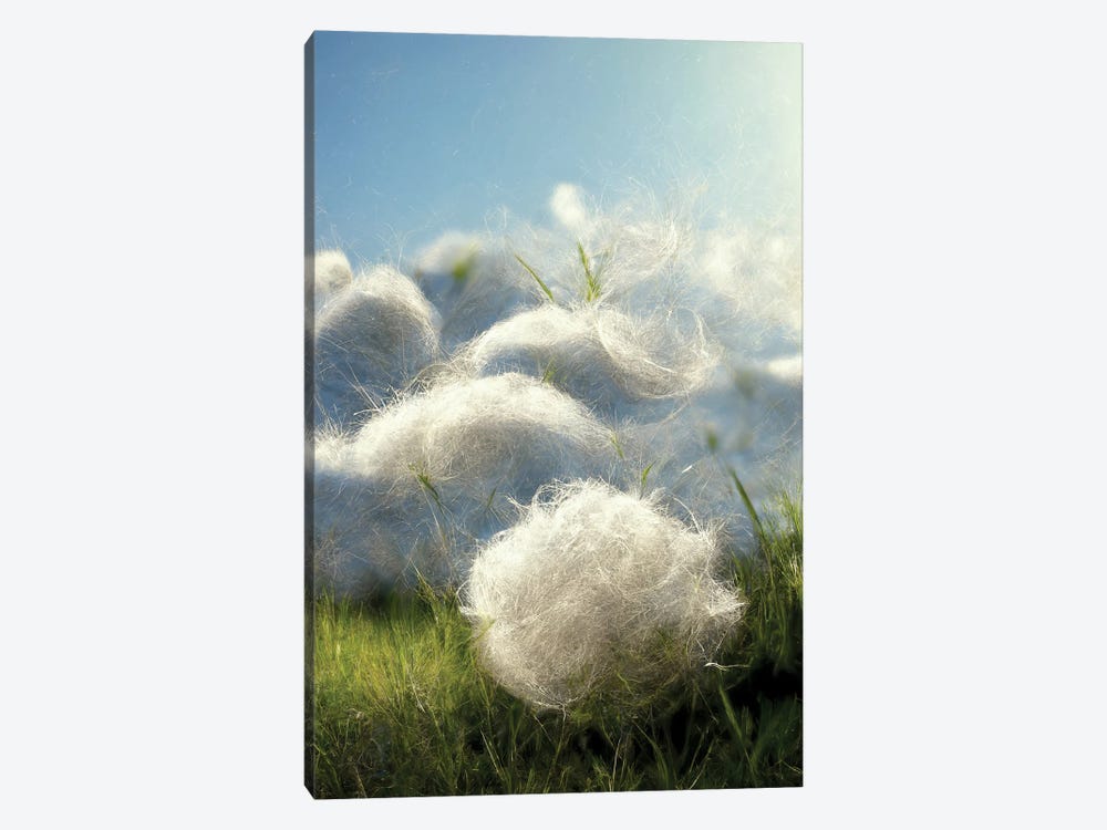 Cotton Balls On A Windy Field V by Mike Kiev 1-piece Canvas Artwork